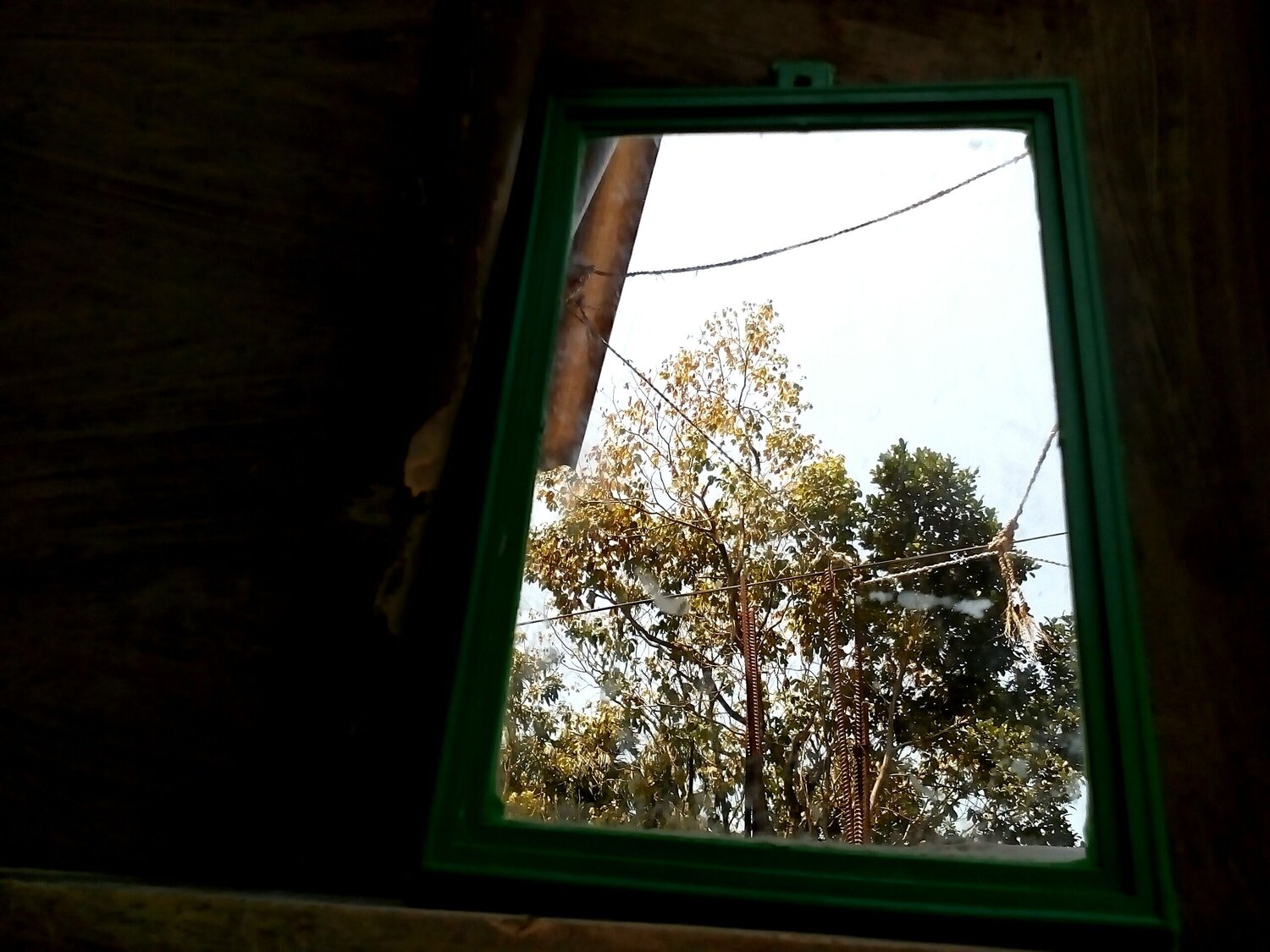 Nature with mirror effect