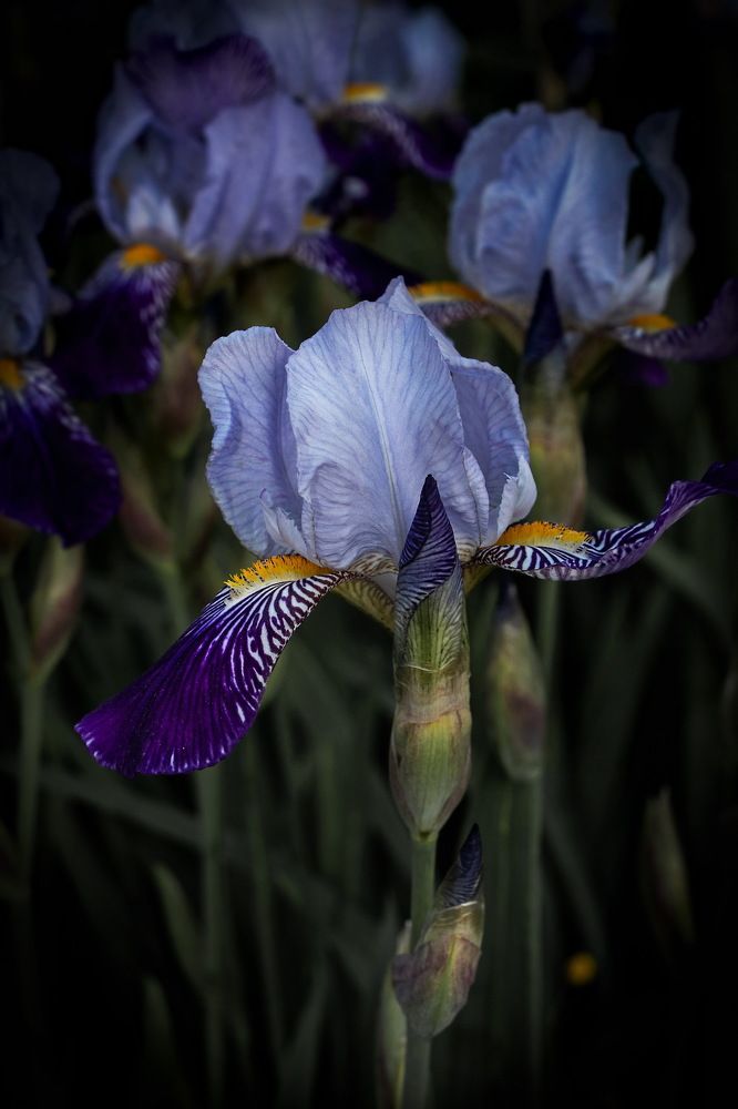 Photograph by Евгений Михеев