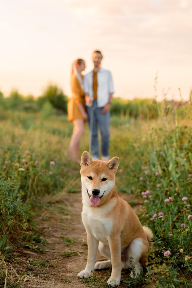 «Руди. Сфоткай лучше меня!»