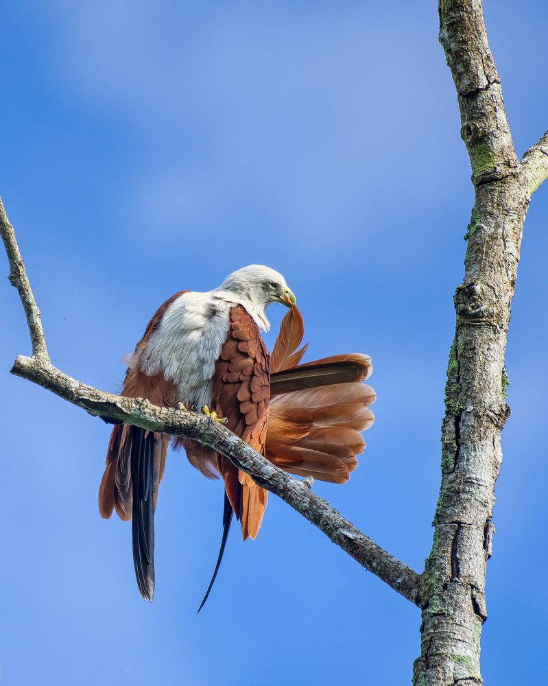 Photograph by Ujwal Pasupuleati