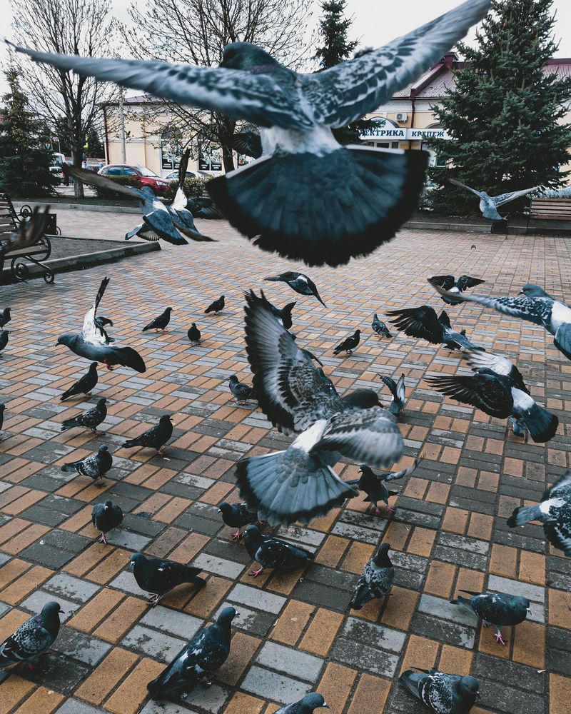 Photograph by Наталья Асоскова