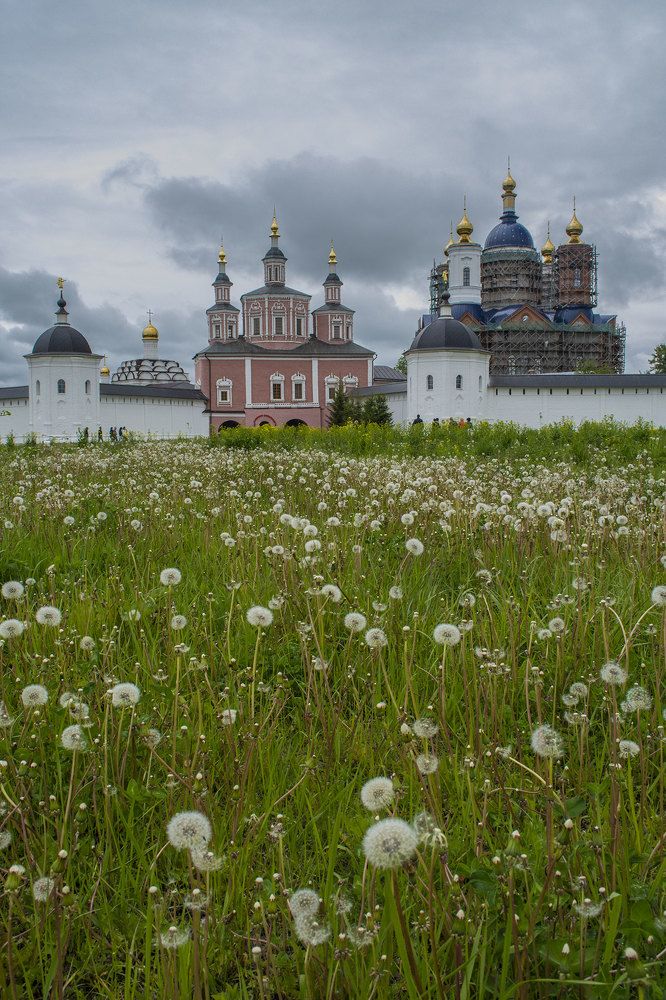 Мужской монастырь Брянской епархии Русской православной церкви, расположенный в селе Супонево Брянского района Брянской области