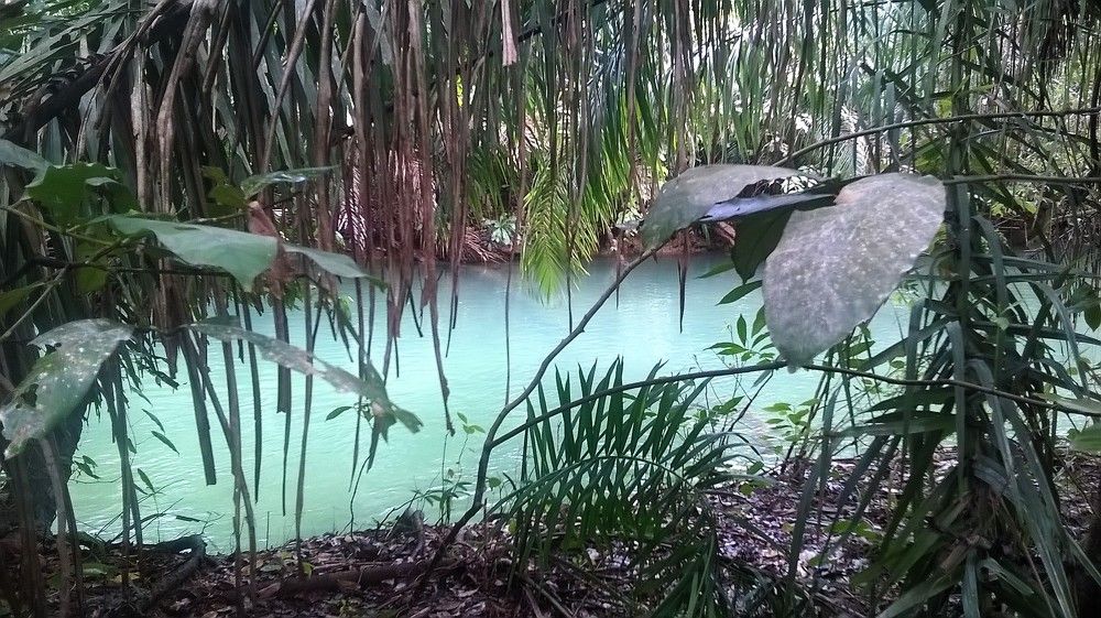 Photograph by samuel celegatti