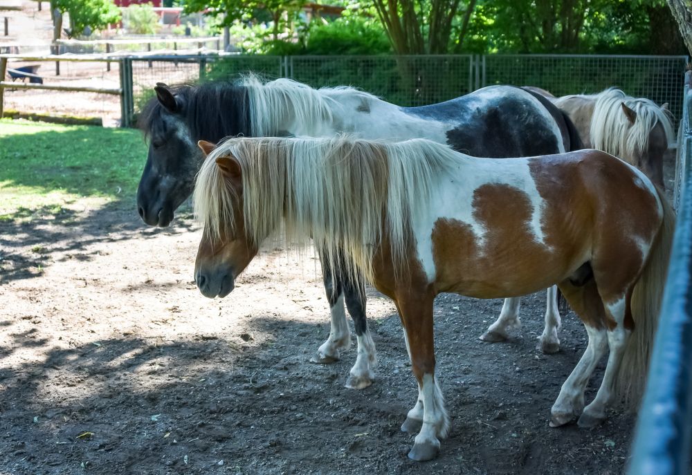 Photograph by Наталия Березина