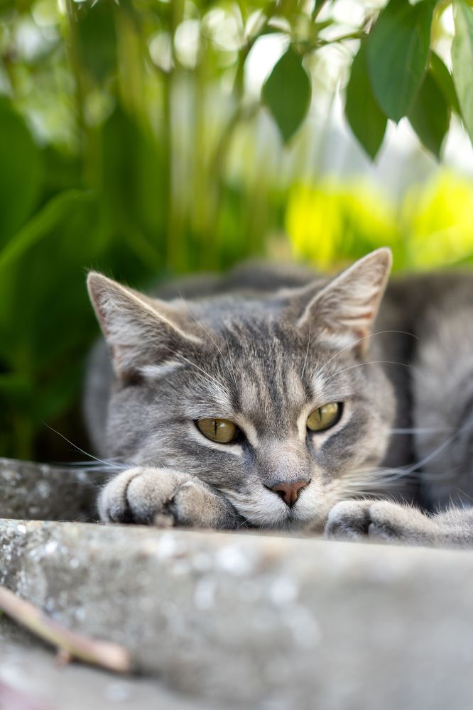 Photograph by Оля Лукаш