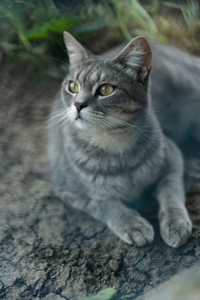 Photograph by Оля Лукаш