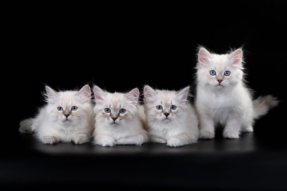 Photograph by Альбина Рычкова