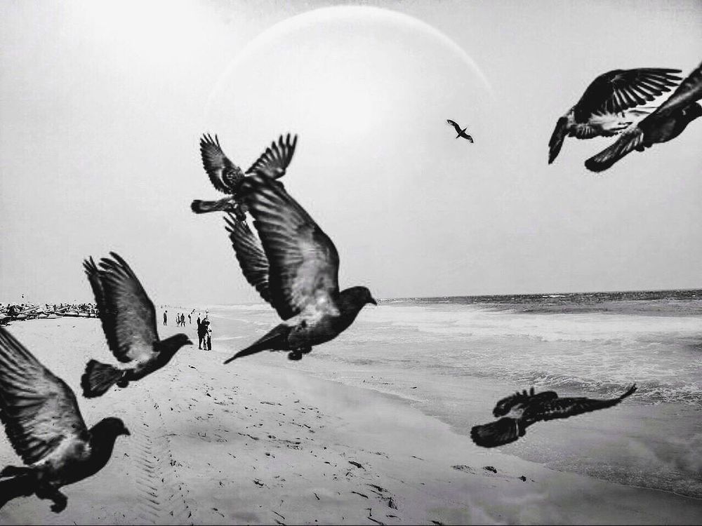 Photograph by aravindan mani