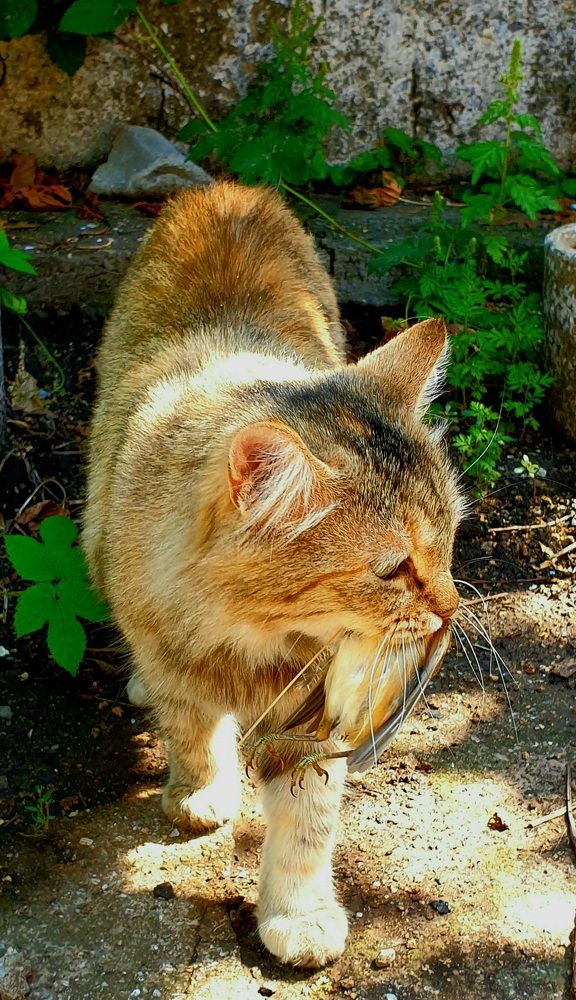 Photograph by Сергей Мамалюк