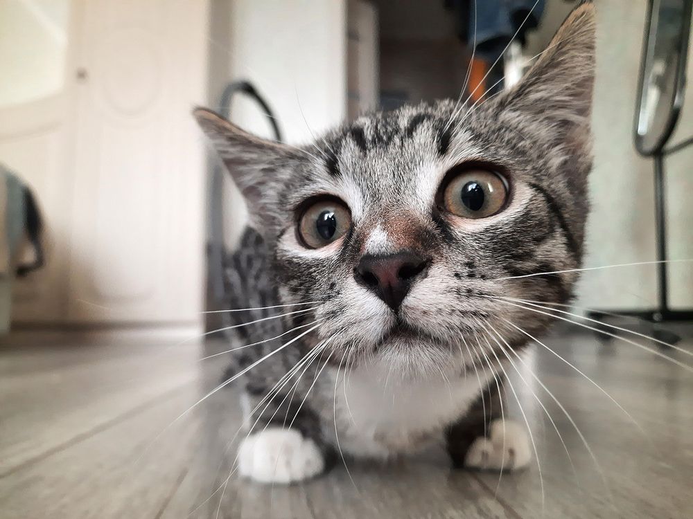 Photograph by Михаил Рассказ