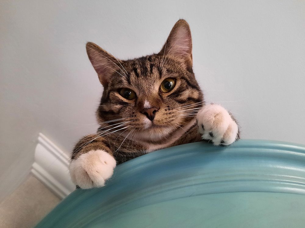 Photograph by Михаил Рассказ