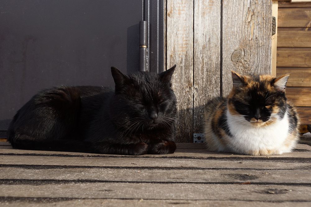 Photograph by Михаил Рассказ