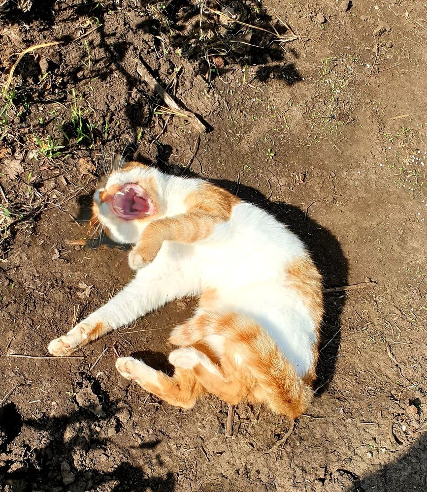 Photograph by Сергей Мамалюк