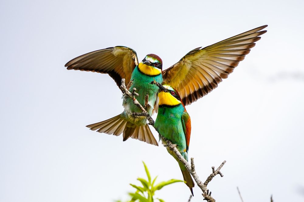 Фотография автора Jian Ma