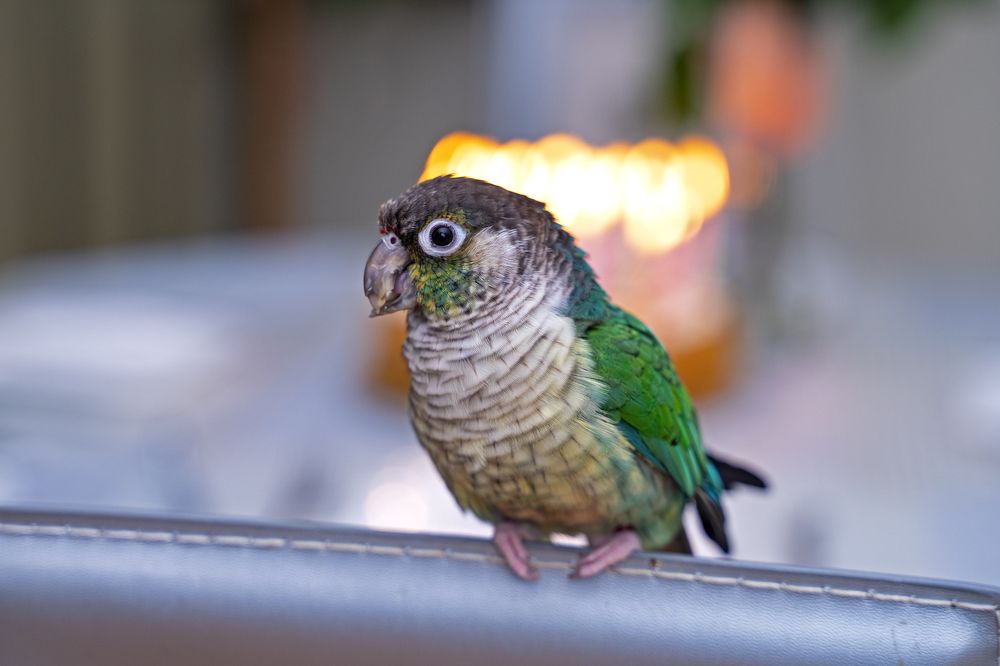 Photograph by Владимир Толстолетов