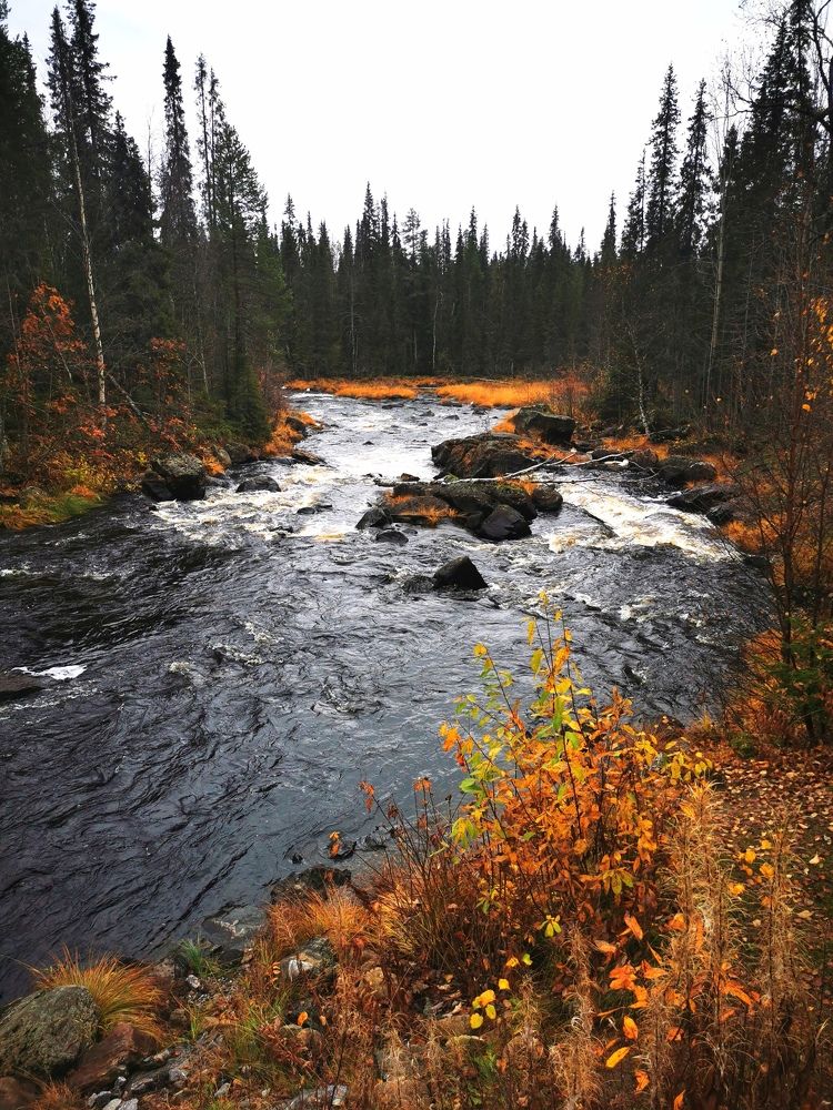 Photograph by Елена Артёменко