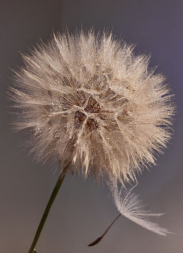 Photograph by Марина Платонова