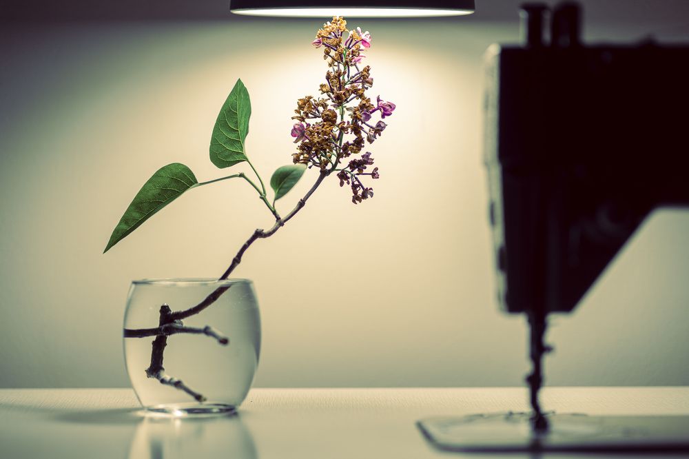 Photograph by Zsolt Noszkó