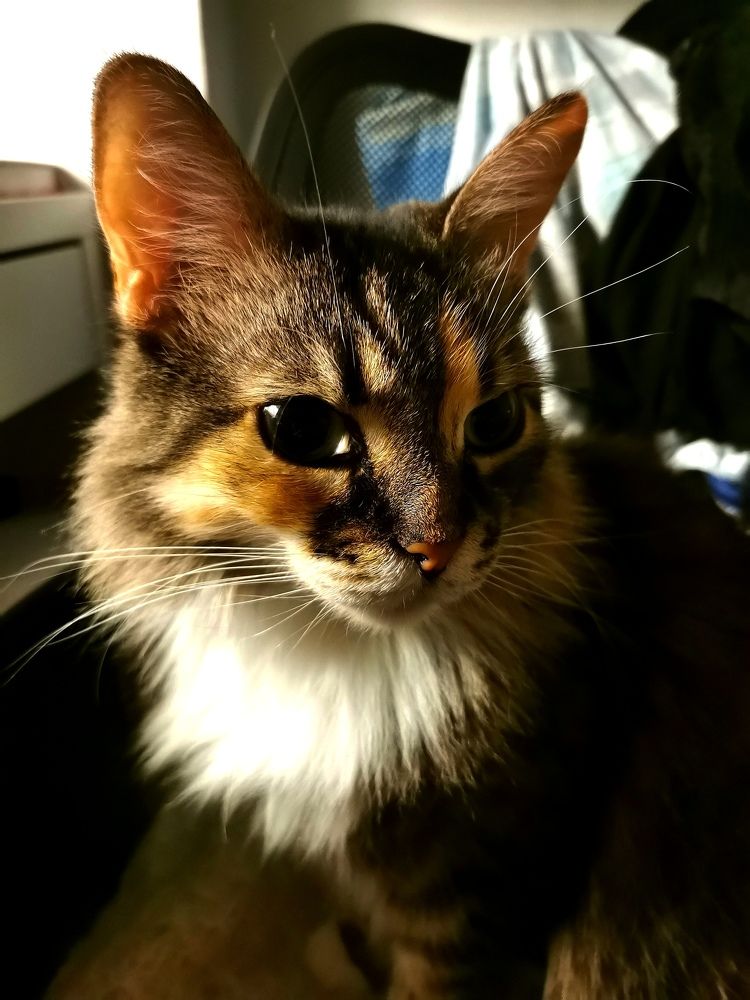 Photograph by Елена Артёменко