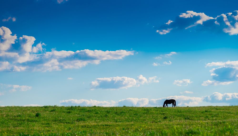 Photograph by Дмитрий Тимошенко