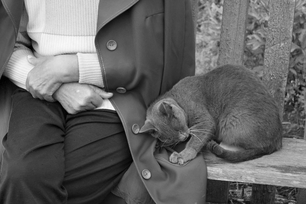 Photograph by Валерия Паринова