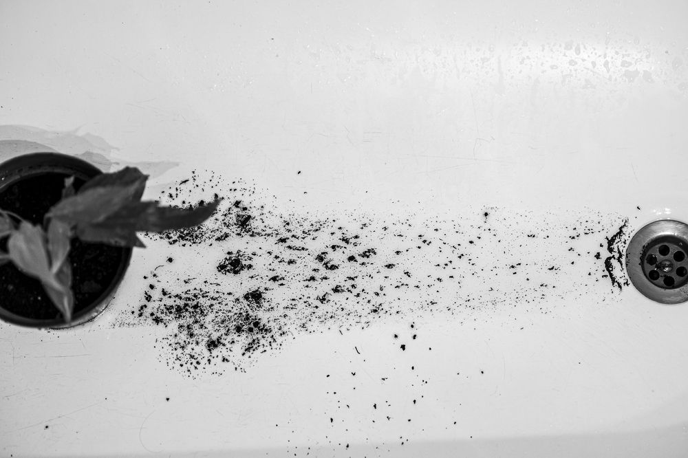 Photograph by Zsolt Noszkó