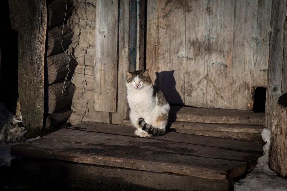 Мартовские ванны