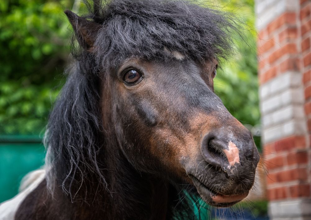 Photograph by Владимир Кваша