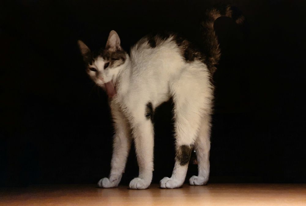 Photograph by Mohammad Jalilzadeh