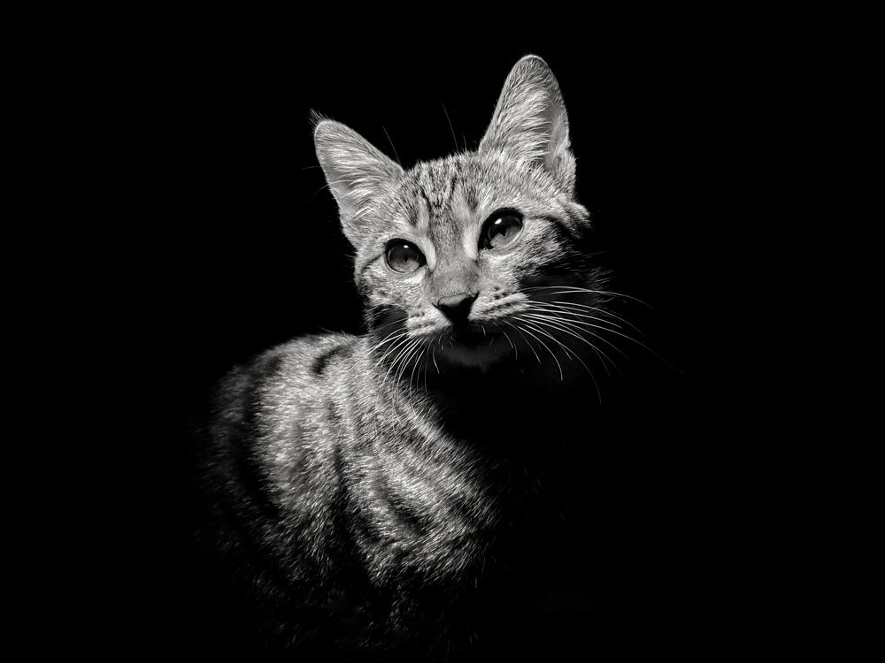 Photograph by Mohamadreza Jalilzadeh