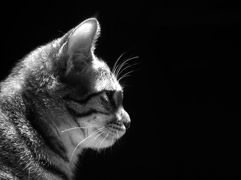 Photograph by Mohamadreza Jalilzadeh