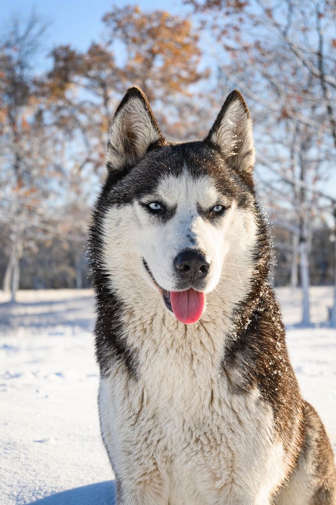Фотография автора Оксана Белозерская