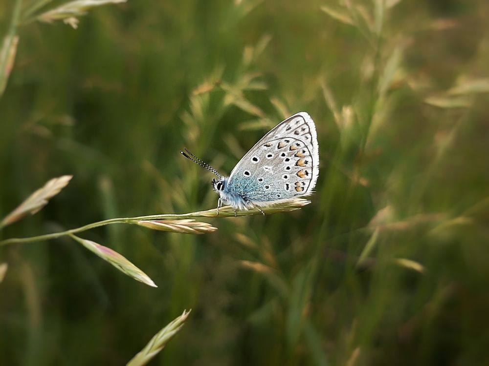 Photograph by Ирина Иванова