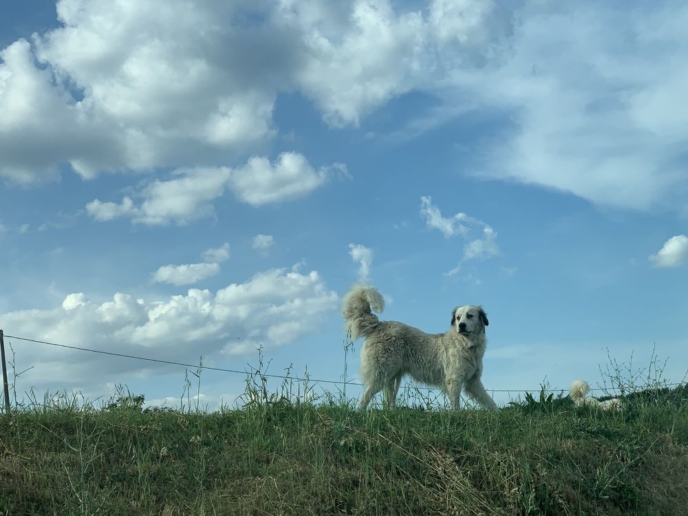 Фотография автора Нина Кулишова