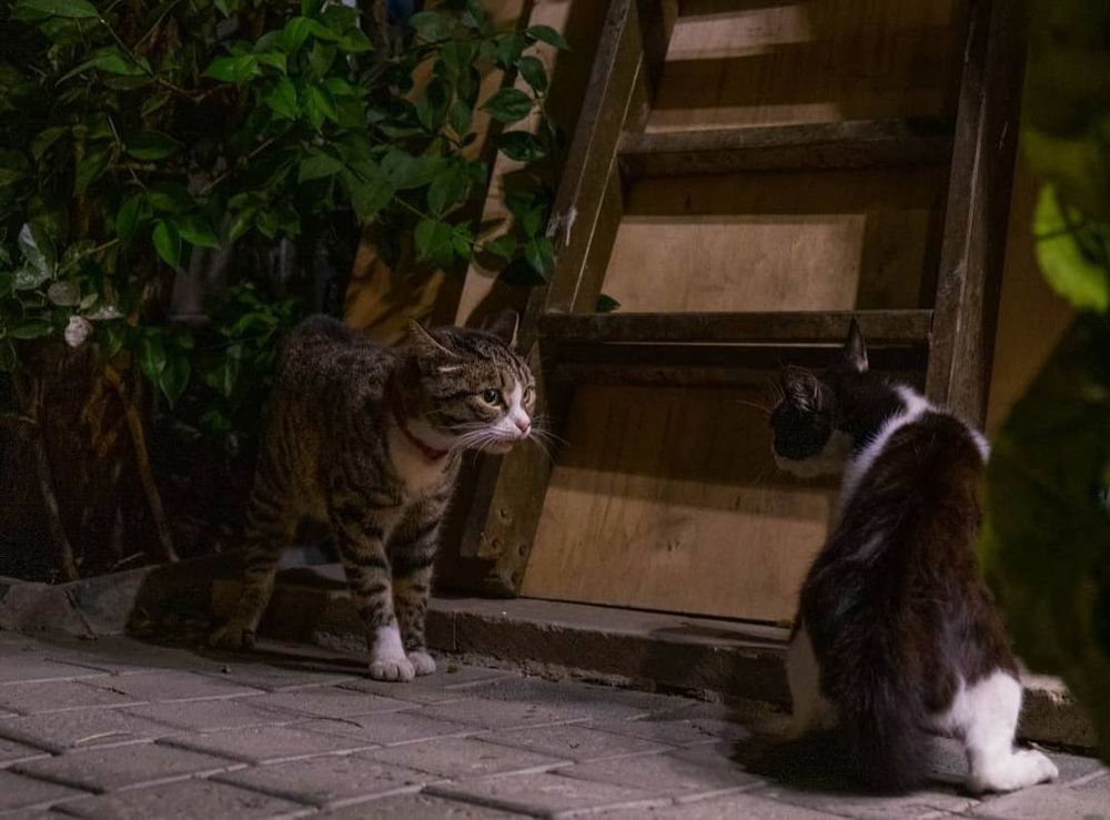 Photograph by Ayaz Hajiev