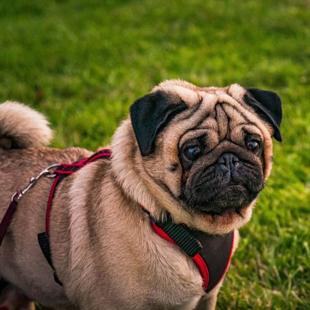 Photograph by Ayaz Hajiev