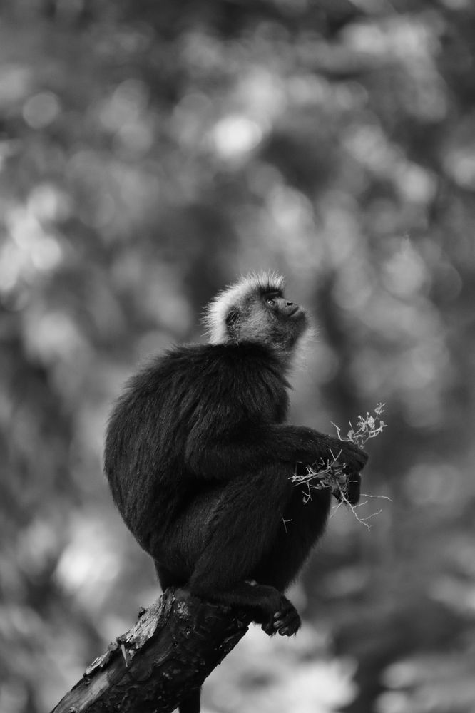 Photograph by MOHAMED S.M