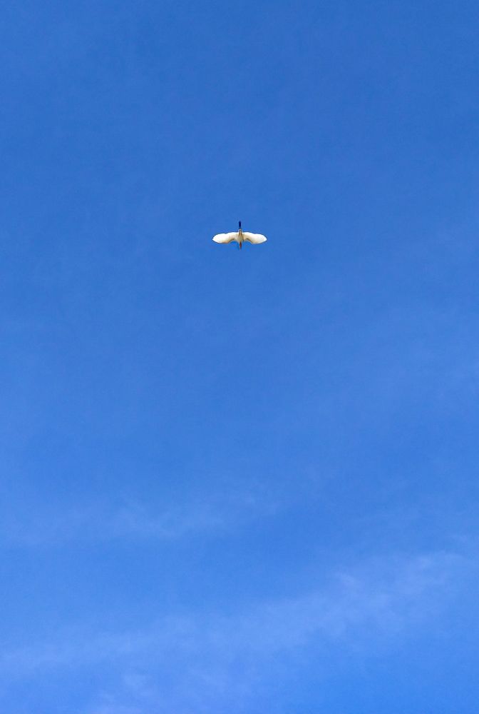 Photograph by Pasan Lenora