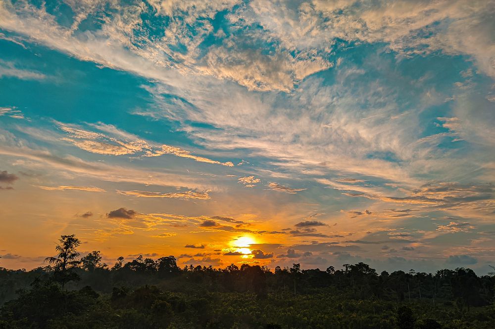 Photograph by Pasan Lenora