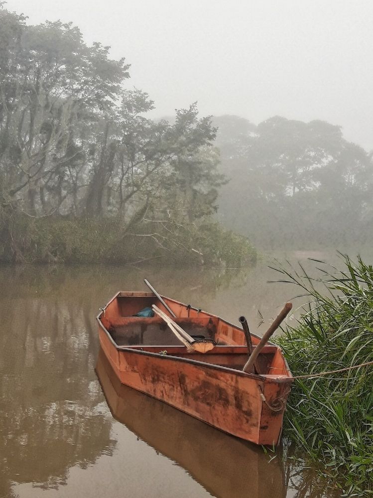 Foggy morning on the river (Manhã de neblina no rio)