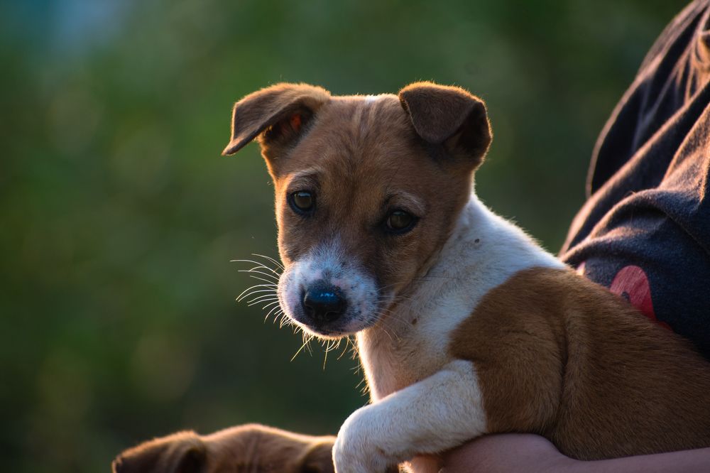 Photograph by Sumiran Waghmare