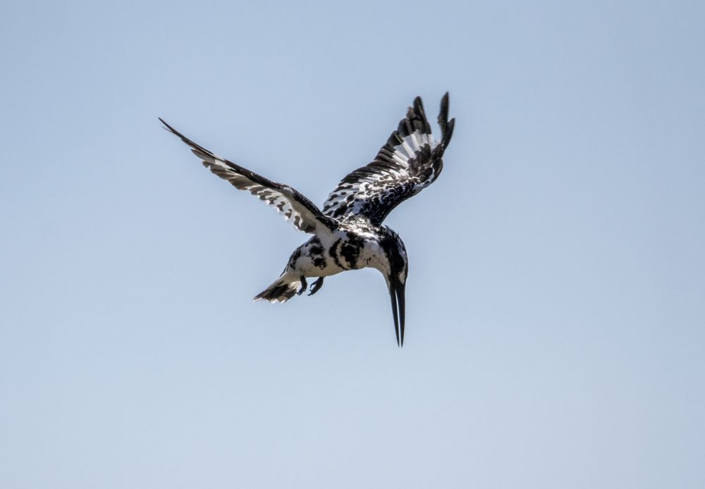 Photograph by Alan John