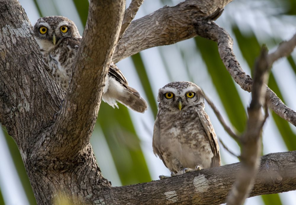 Photograph by Alan John