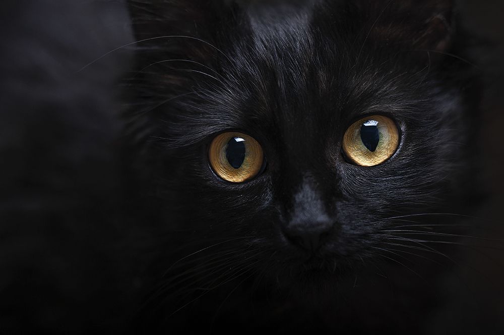 Photograph by Yuliya Volkova