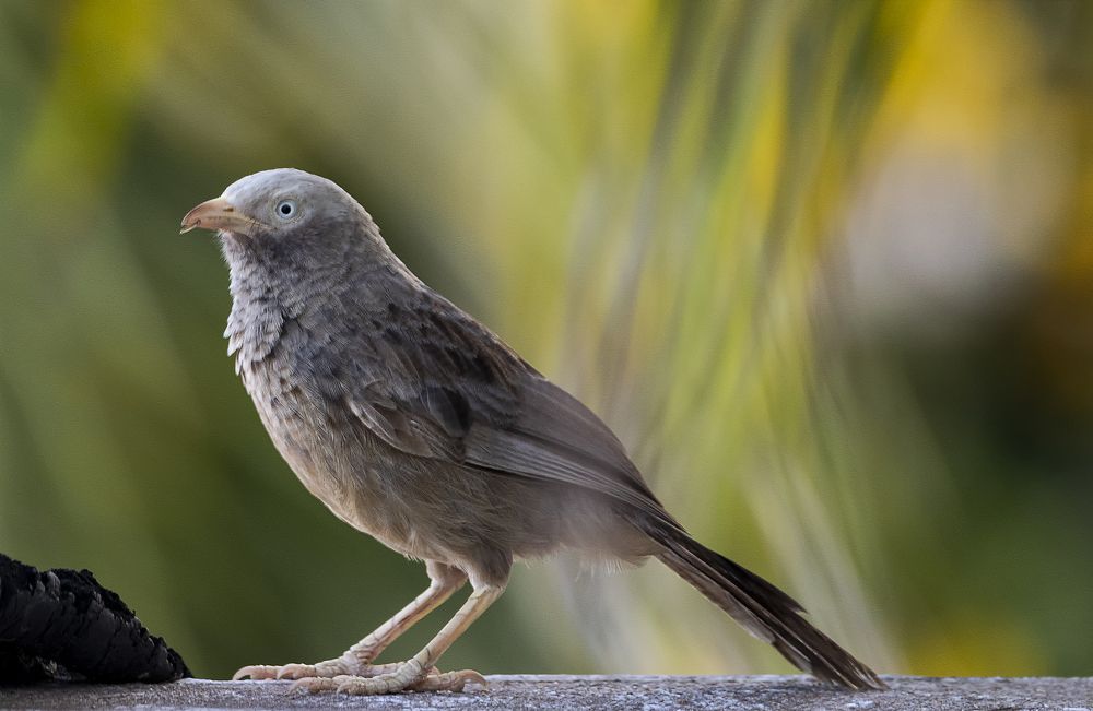 Photograph by Alan John