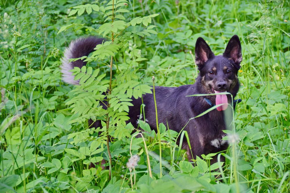 Photograph by Александр Дурасов