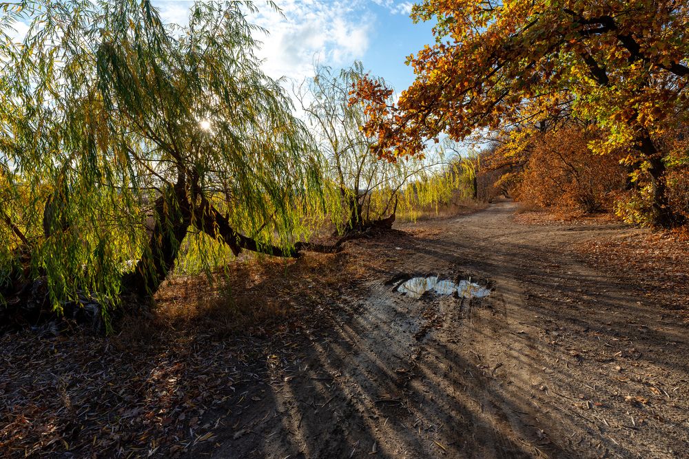 Осенние контрасты.