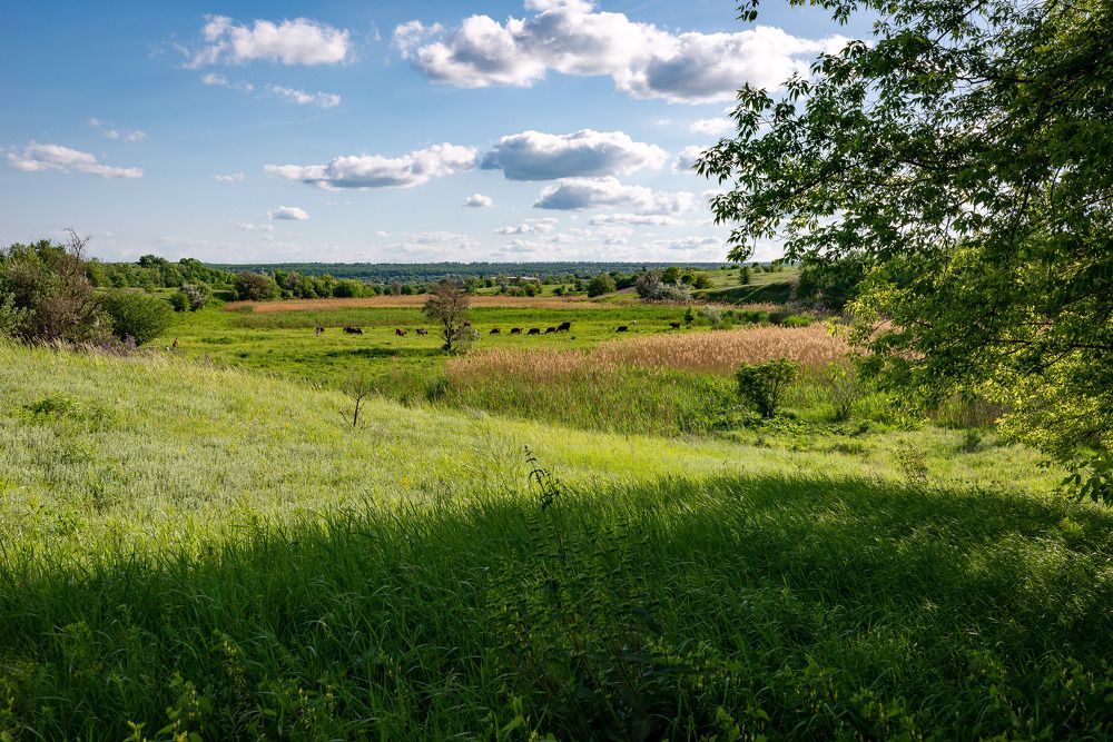 Весенняя атмосфера.