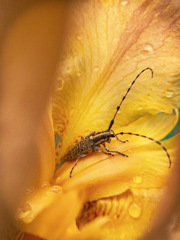 Photograph by Андрей Косяк