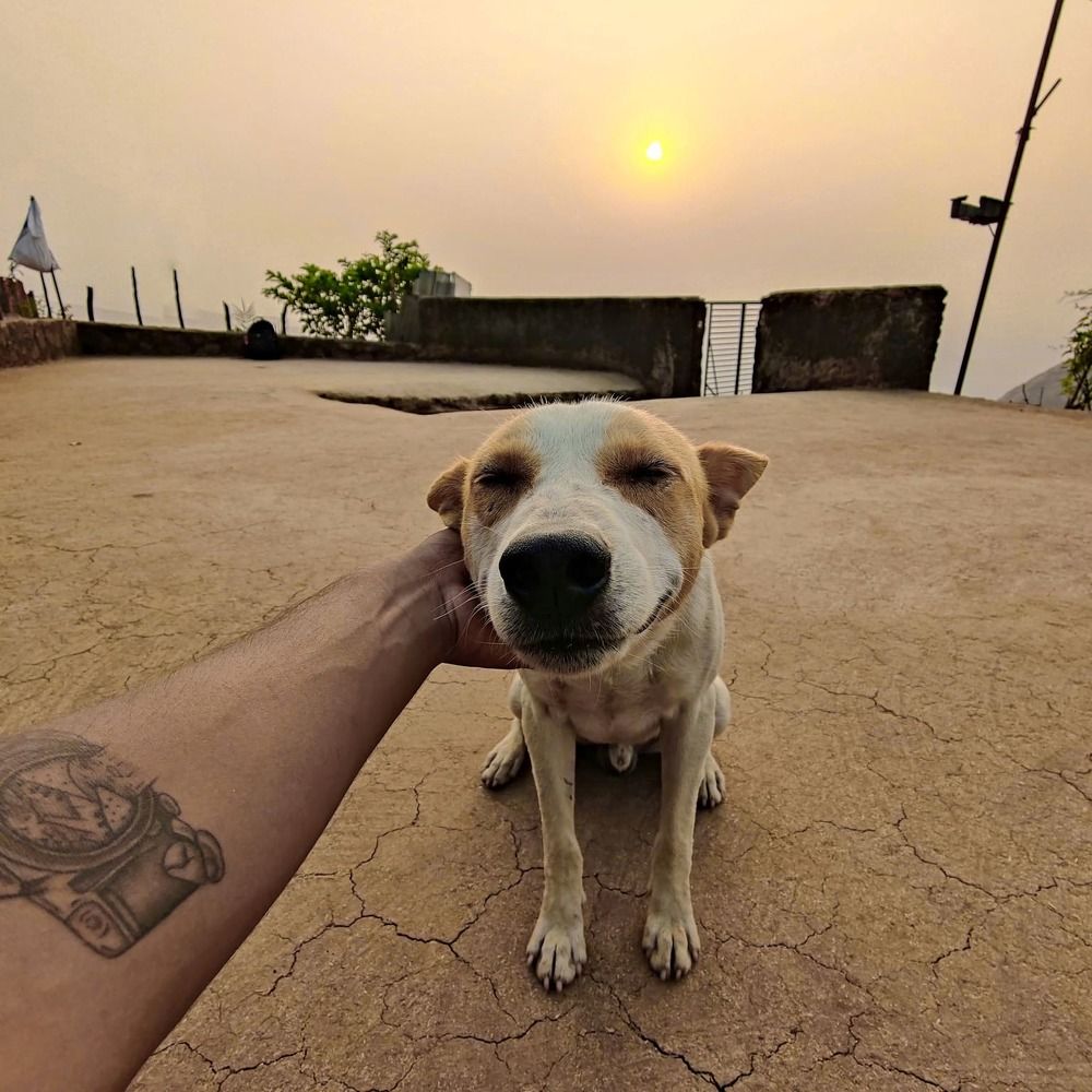 Фотография автора Om Pawar